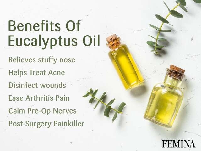 9 Surprising Ways : Can Eucalyptus Help with Breathing? A Must Read Guide!