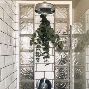 Eucalyptus used as home spa