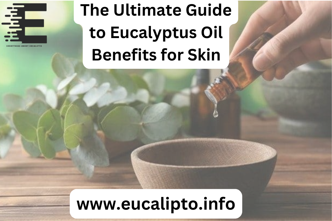 Eucalyptus Oil Benefits for Skin