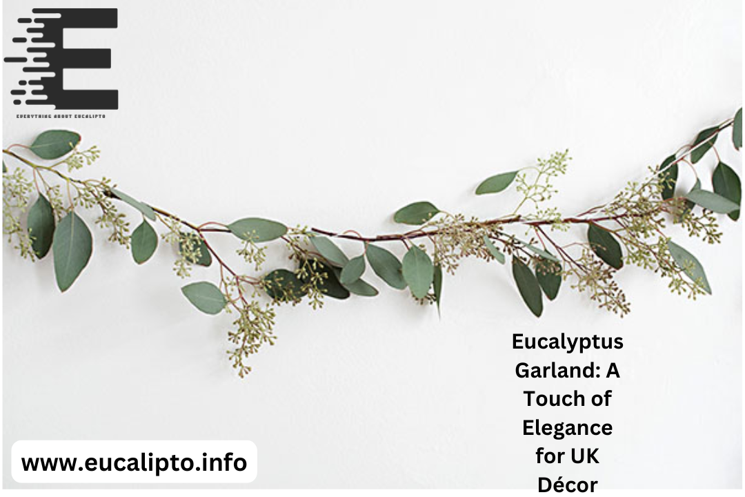 eucalyptus garland