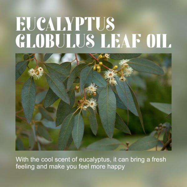 Eucalyptus Essential Oil, Body Care Massage Push Back Spa Essential Oils Moisturize And Firm Skin - Image 6