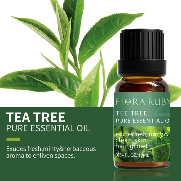 Essential Oils for Diffusers Lavender Eucalyptus Tea Tree Peppermint Rosemary Mint Bergamot Lemon Rose Pure Essential Oil 10ml - Image 14