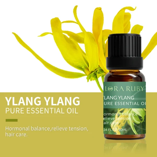 Essential Oils for Diffusers Lavender Eucalyptus Tea Tree Peppermint Rosemary Mint Bergamot Lemon Rose Pure Essential Oil 10ml - Image 25
