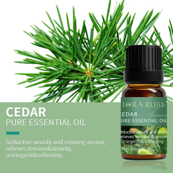 Essential Oils for Diffusers Lavender Eucalyptus Tea Tree Peppermint Rosemary Mint Bergamot Lemon Rose Pure Essential Oil 10ml - Image 19